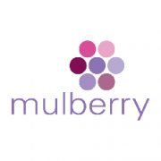 Mulberry Marketing